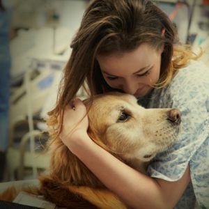 Animal Abuse Treatment Program