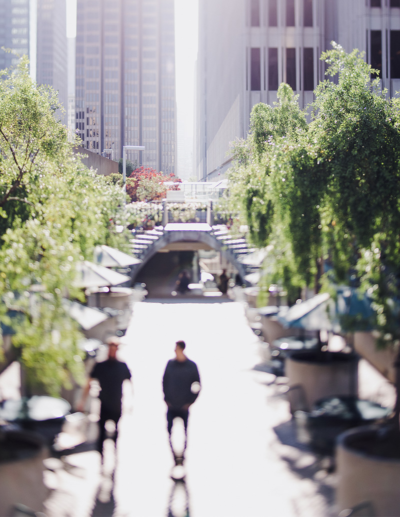 Domestic Violence Counselor Training Domestic Violence Counselor Training • Affordable Online Classes