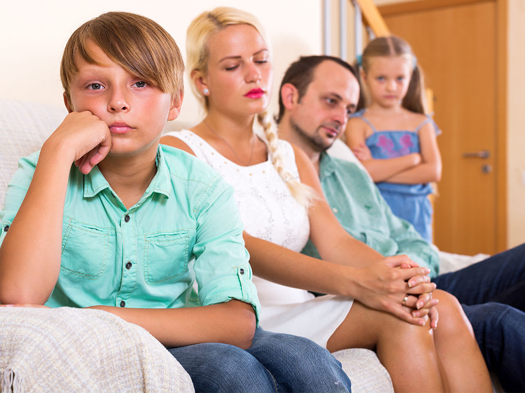 Exercise: Dysfunctional Family • Domestic Violence Class 2000 DVF • Affordable Online Classes • Court Ordered Classes • Mandatory Training • affordablemandatoryclasses.com