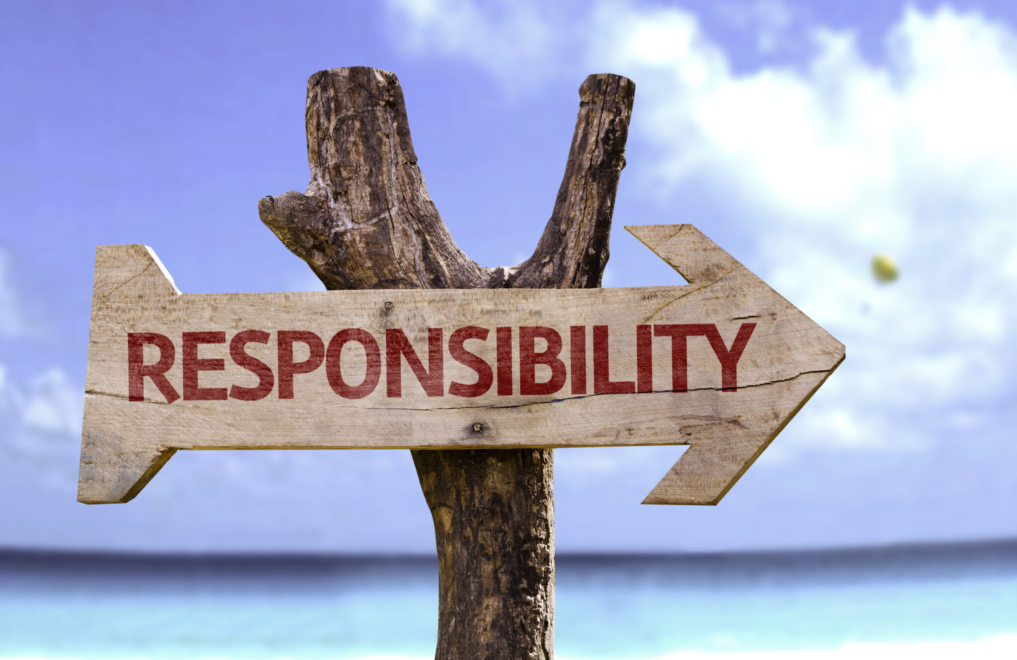 Self-Responsibility • Women's Domestic Violence Course • Affordable Online Classes • Court Ordered Classes • Mandatory Training • affordablemandatoryclasses.com