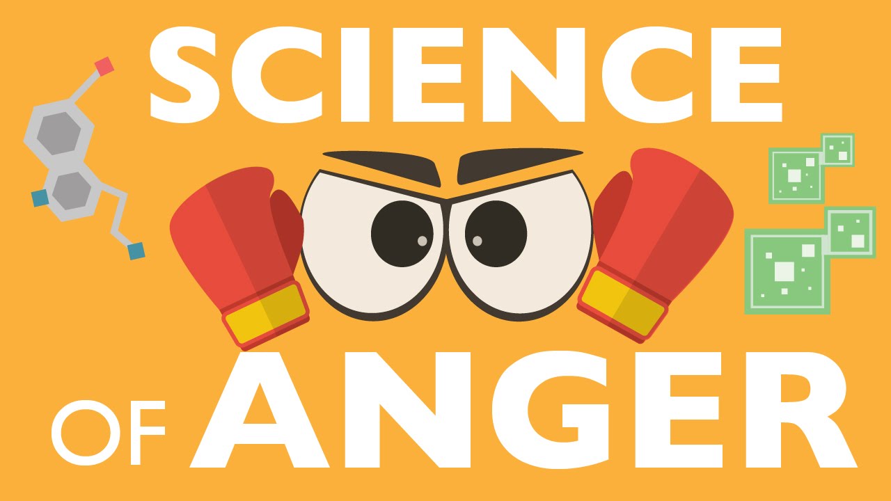 The Science of Anger • Stalker Class (Self-Paced) • Affordable Online Classes • Court Ordered Classes • Mandatory Training • affordablemandatoryclasses.com